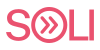 SOLI - The Standard for Open Legal Information